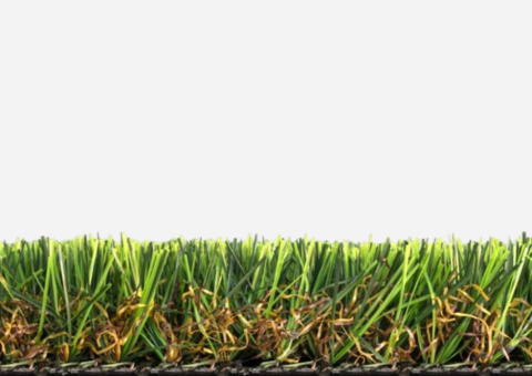 promo-banner-image